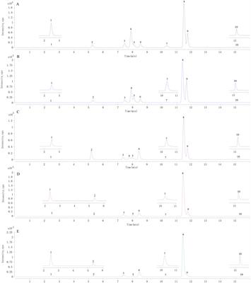 Study on the correlation between alkaloids and tastes of Coptis Rhizome from four species based on UHPLC-QQQ-MS/MS combined with electronic tongue technique